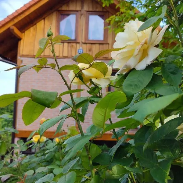 Ruralna kuća za odmor Brezanka, Zagrebačka ulica 21 Gornja Stubica, hôtel à Gornja Stubica