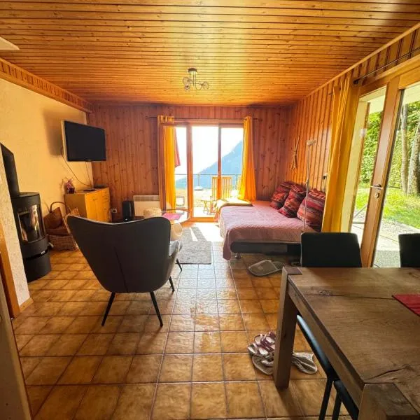 Chalet Le Petit Foyer, hotel em Villars-sur-Ollon