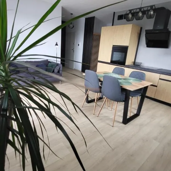 Apartament SOLO, ξενοδοχείο σε Pruszcz Gdanski