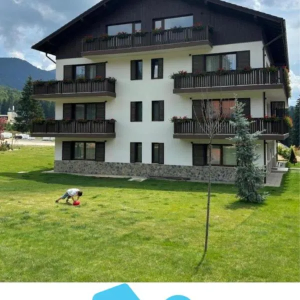 ALBERT RESIDENCE APARTHOTEL GRAND CHALET with optional SPA access to Alpin Resort, hotel in Poiana Brasov