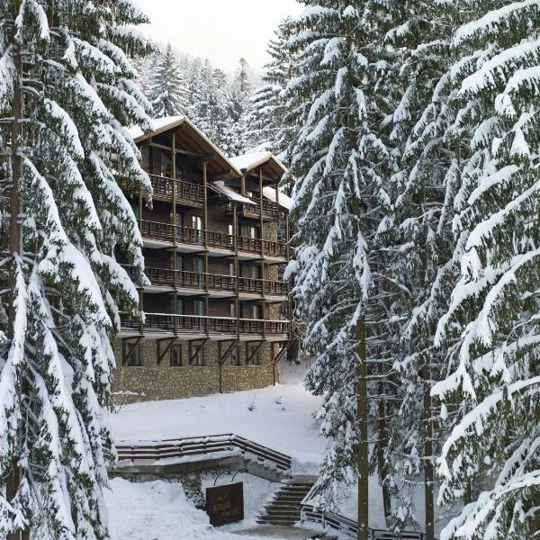 Ana Hotels Bradul Poiana Brasov, отель в Пояна-Брашове