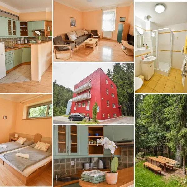 Apartmány Ados, hotel en Harrachov