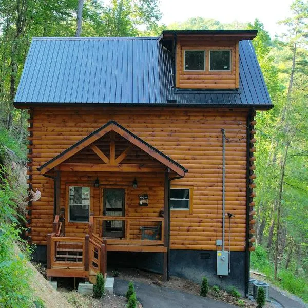 Hawks Nest Mountain Cabin, отель в городе Севьервилл