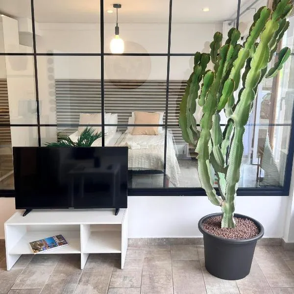 Cactus Apartment, hotel di Playa Fanabe