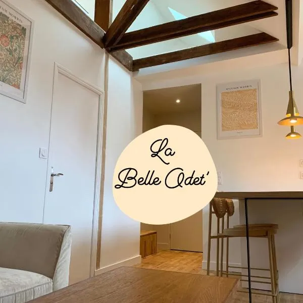 La Belle Odet' - choix d'appartements- Centre ville-quais，坎佩爾的飯店