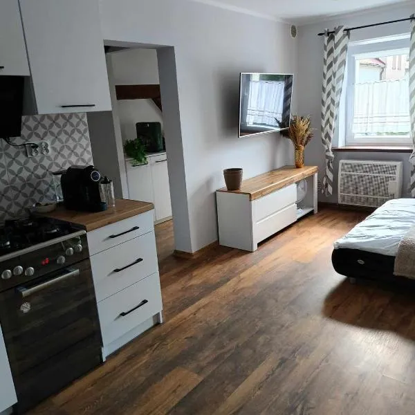 apartament 30 m2 FOR YOU, hotel v mestu Szczawno-Zdrój