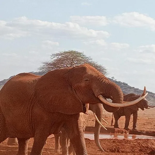 Tausa Tsavo Eco Lodge, hotell i Voi