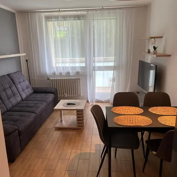 Apartmán u Arény NMnM, ξενοδοχείο σε Nove Mesto na Morave