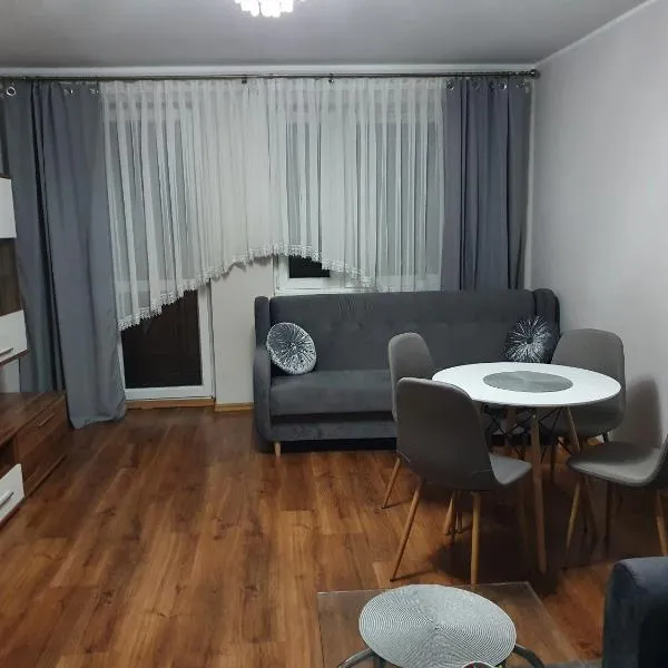 Apartament Łąkowa、Redaのホテル