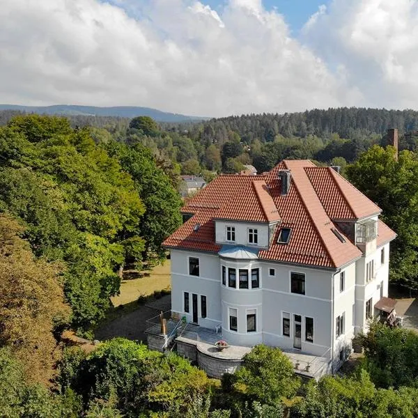 Parkvilla Köhler, hotel di Zella-Mehlis