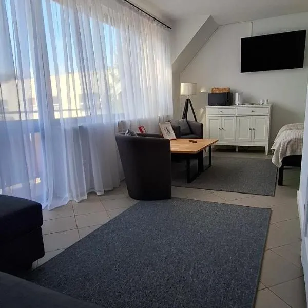 Mini apartamenty Lubelska, готель у Пулавах