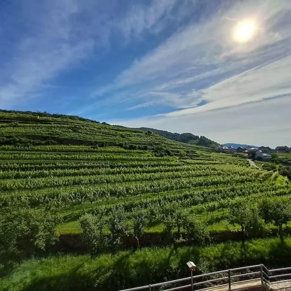 Wohnung in der Wachau, готель у місті Вайсенкірхен-ін-дер-Вахау