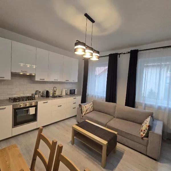 Apartament Mickiewicza, ξενοδοχείο σε Pruszcz Gdanski