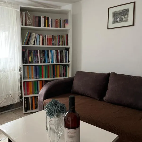 Apartment Gray – hotel w mieście Pirot