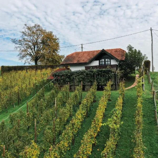 Hiška Brajda, hotel di Rogaška Slatina