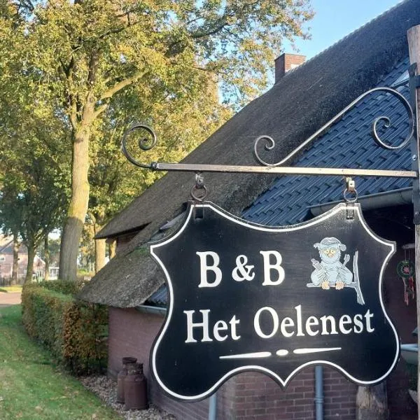 Bed en Breakfast Het Oelenest – hotel w mieście Assen