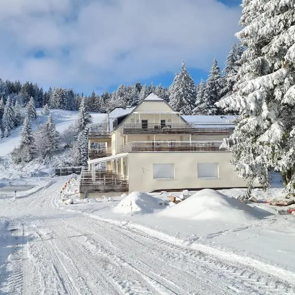 bel appartement 3 pièces dans la Résidence Vosges-Alsace Orbey, hotelli kohteessa Orbey