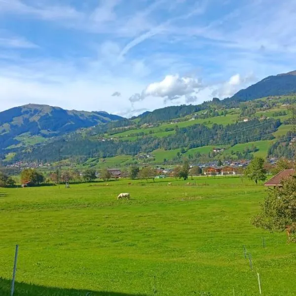 Apartment Sonnberg, hôtel à Hollersbach im Pinzgau