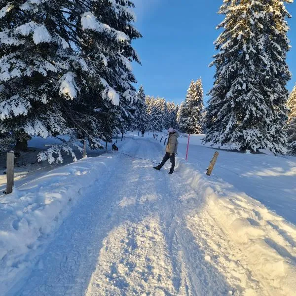 Mont Blanc Chalet, hotel en Yverdon-les-Bains