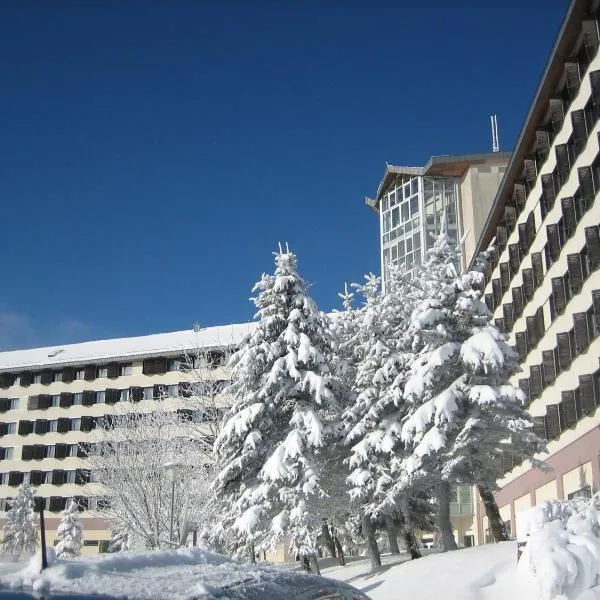 Ringberg Hotel, Hotel in Suhl