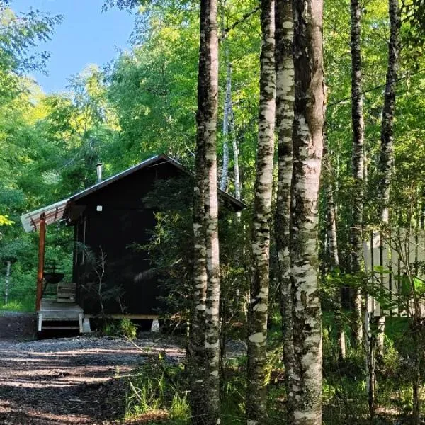 Cabaña Ruka trinar, hotel Prados del Negro