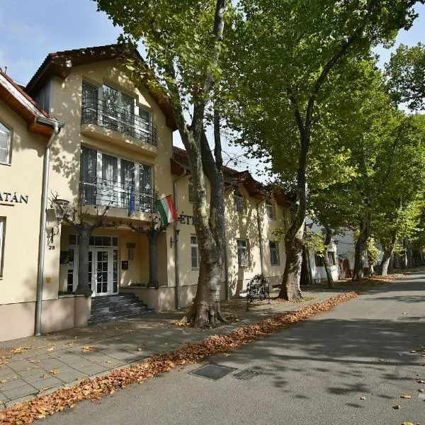 Hotel Platan, hotell i Székesfehérvár