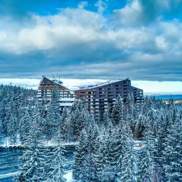 Alpin Resort Hotel, hôtel à Poiana Brasov