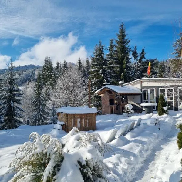 Cabana Căsaru, hotelli kohteessa Piatra Fantanele