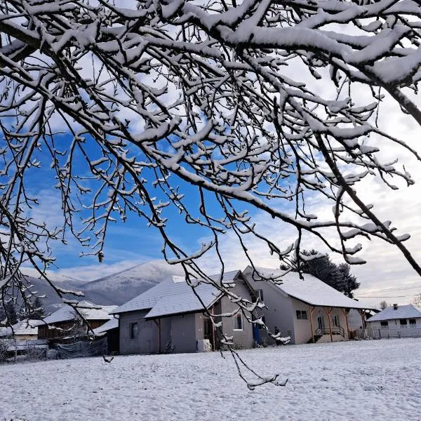 Apartmani Petrović SEMČE Suva Planina, khách sạn ở Leskovac