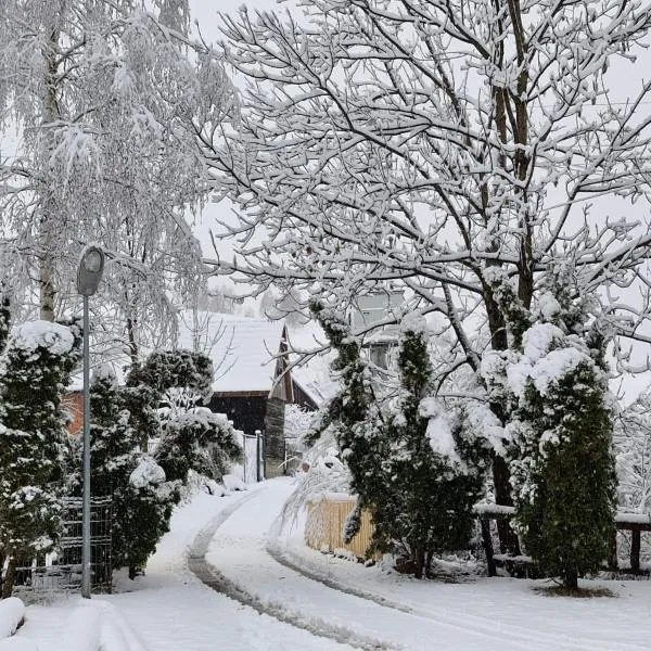 Rare Forest Retreat – hotel w mieście Bran