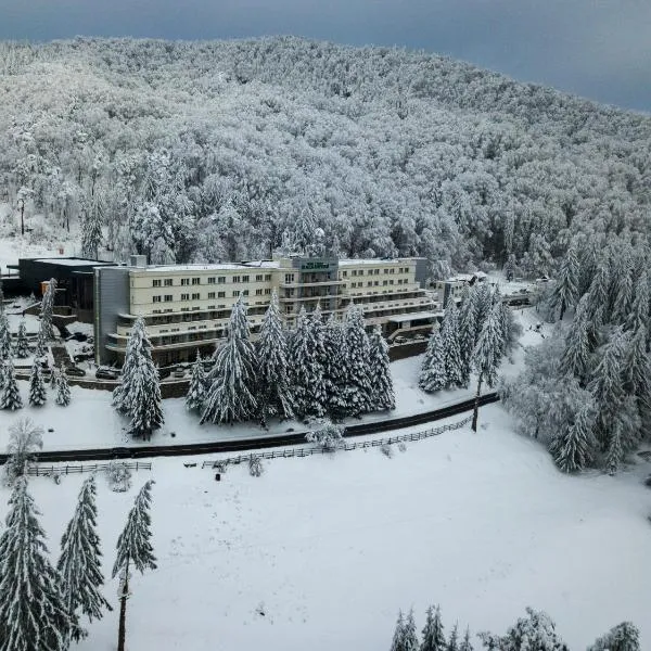 Balvanyos Resort - Peakture Hotel & Grand Hotel Balvanyos, ξενοδοχείο σε Băile Tuşnad