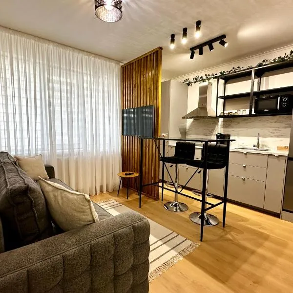 Central Charm Apartment، فندق في تارجو نيمت