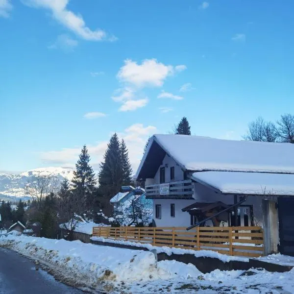 Casa Pietrosu Rodnei, hotel a Borşa