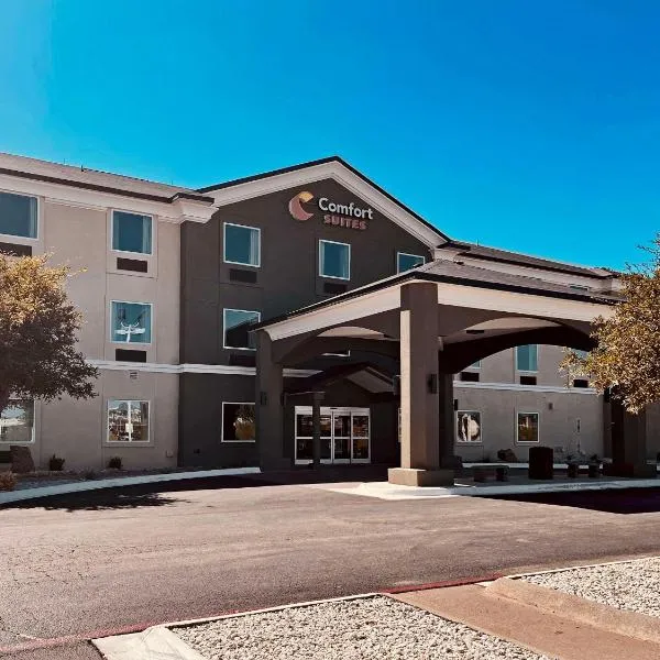 Comfort Suites San Angelo near University, hotel en San Angelo