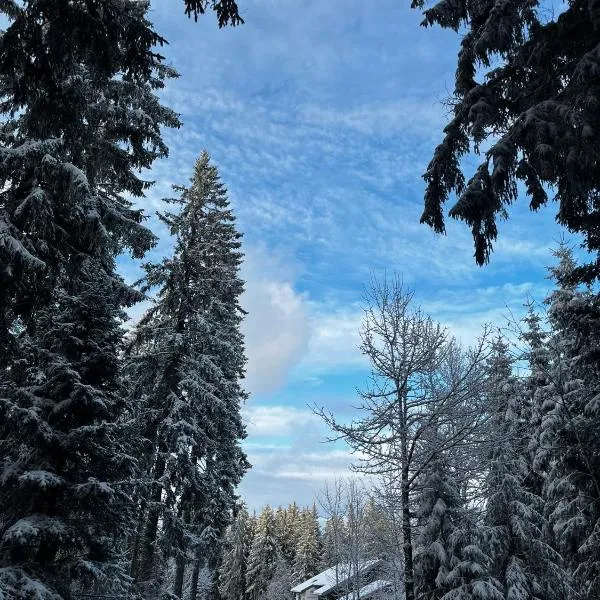 Naturfreundehaus Brend, Hotel in Schönwald