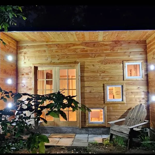 Tiny house, hotel u gradu 'Coñaripe'