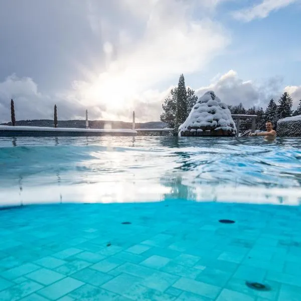 Hotel Vier Jahreszeiten am Schluchsee, hotel en Feldberg