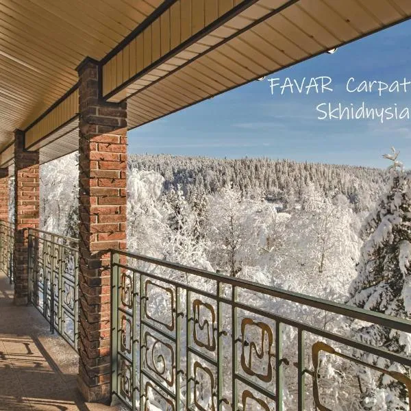 FAVAR Carpathians，特魯斯卡韋茨的飯店