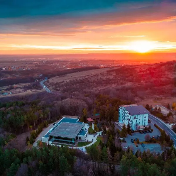 Hotel Helen, hótel í Bacău