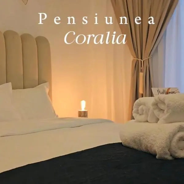 Pensiunea Coralia, hotel u gradu 'Hunedoara'