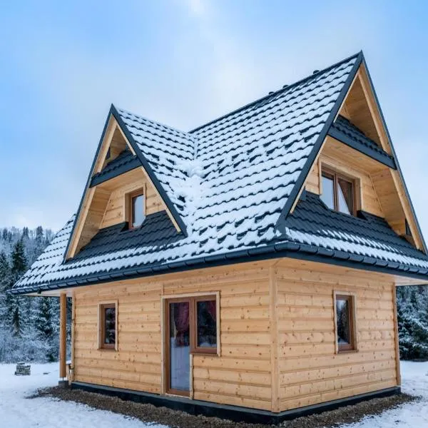 Góralski domek nad Białką, хотел в Буковина Татжанска