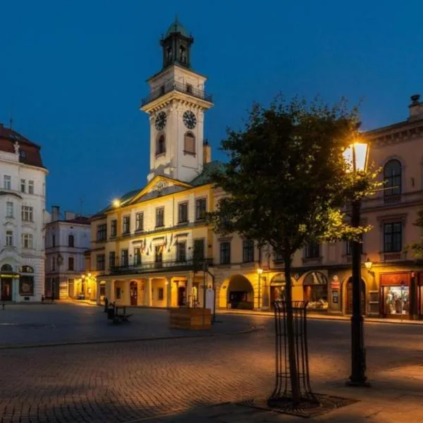 Hotel Cieszyński Stare Miasto Suites, מלון בצ'שין