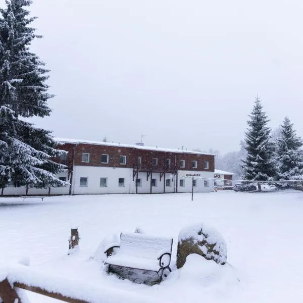 Penzion Dobík Pasečná, hotel in Přední Výtoň