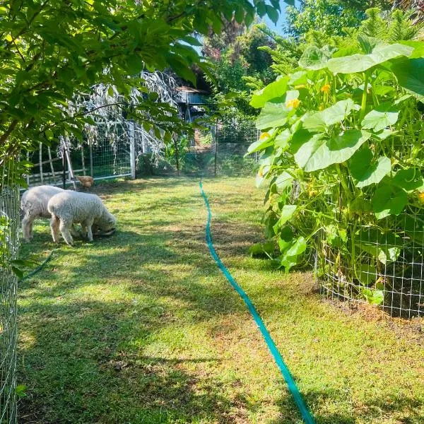 Bird Paradise & mini farm, viešbutis mieste Bendigas