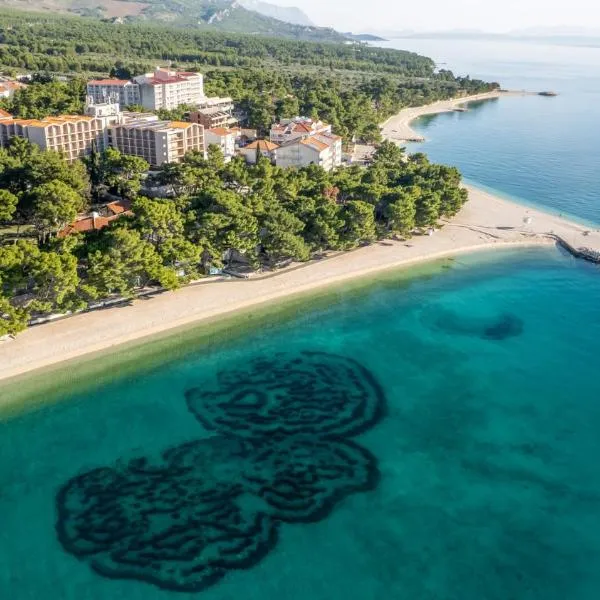 Hotel Horizont, готель у Башка-Воді