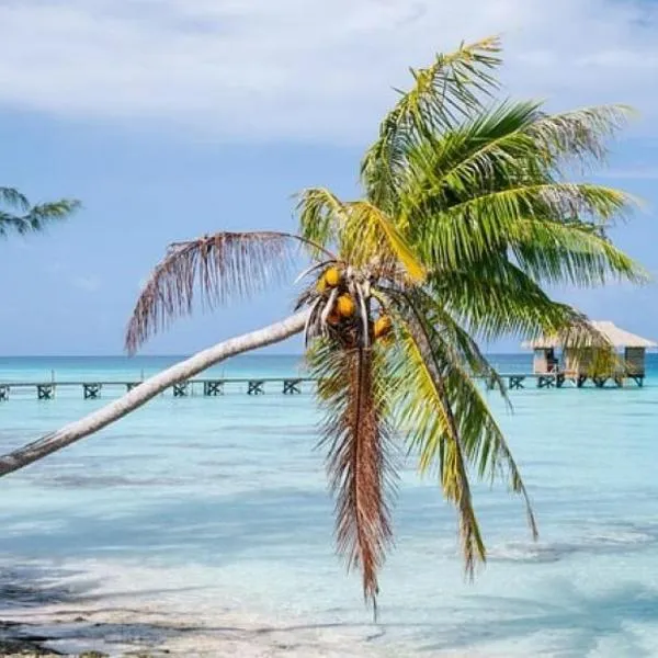 Sunset Hill Lodge, hotell i Bora Bora