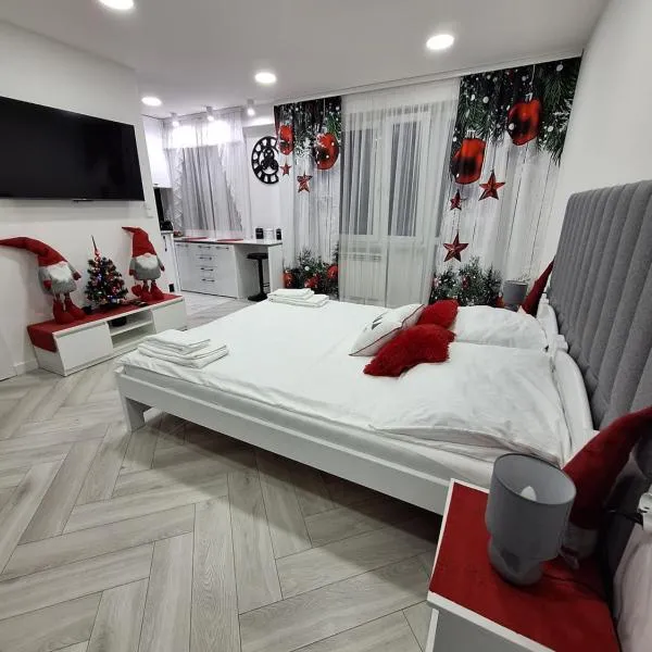 Apartament Premium Tarnów، فندق في تارنوف