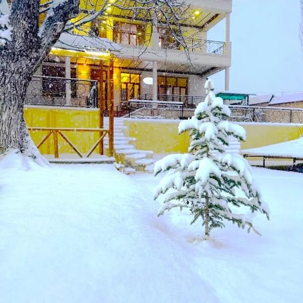 Зона отдых APACHI в горах ЧИМГАН, hotel G‘azalkent