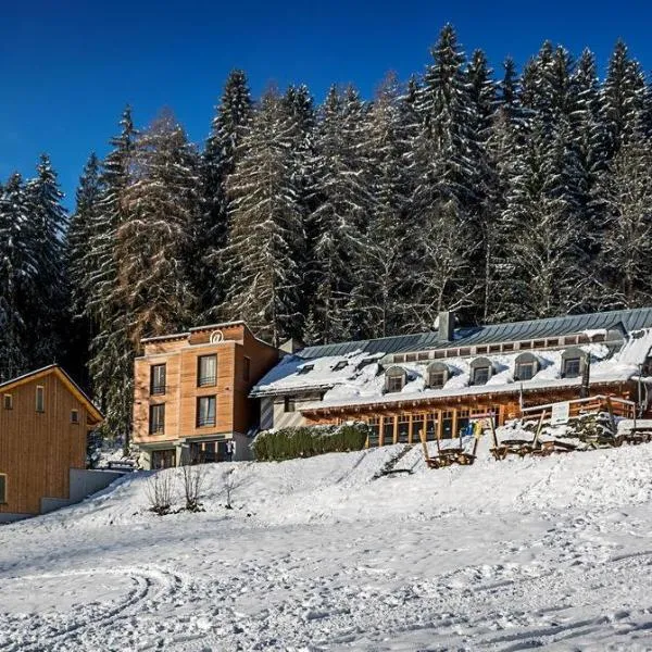 Hotel Modřín, hotel a Pec pod Sněžkou