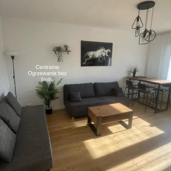 Apartament Nati, ξενοδοχείο Cieszyn